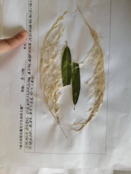 微信圖片_20241218104903.jpg