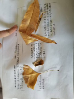 微信圖片_20241218104911.jpg